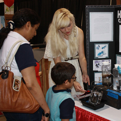 怎么买便宜正版的ddos工具下载